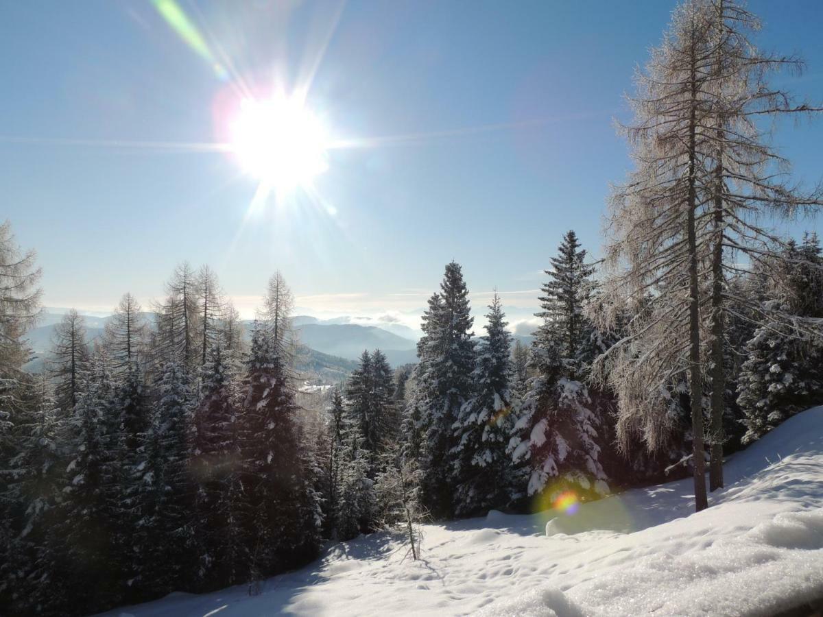 Villa-Alpenblick Hochrindl Esterno foto